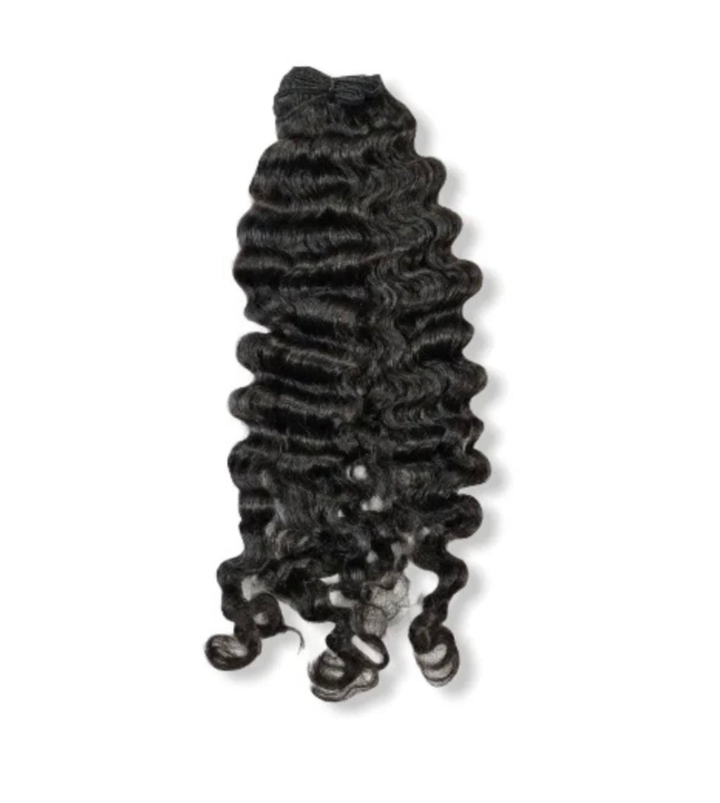 Burmese Curly