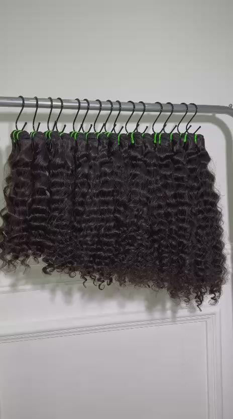 Burmese Curly